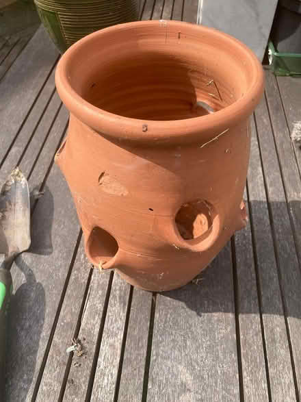 Photo of free Terracotta Herb Pot (CM12) #1