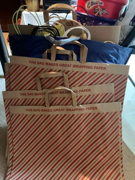 Photo of free Paper carrier bags (Edgbaston B5) #1