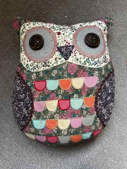 Photo of free Owl cushion (Hampton TW12) #1