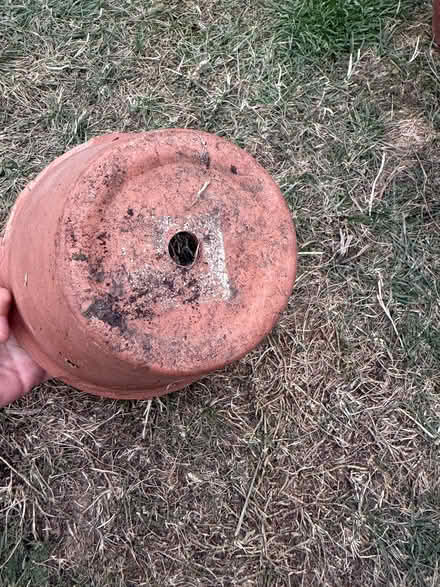 Photo of free 3x Terracotta plant pots (Harold Hill RM3) #3