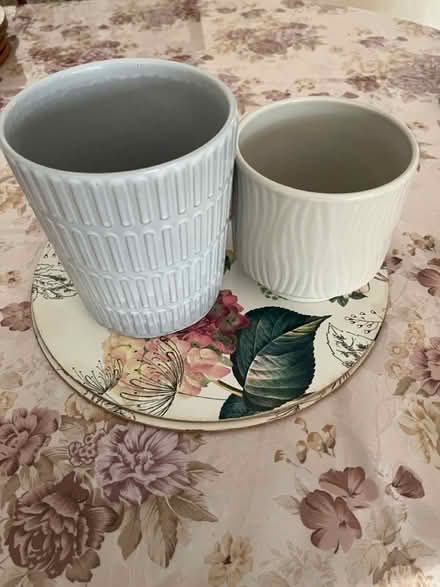 Photo of free Ceramic plant pots (Springfield MK6) #1