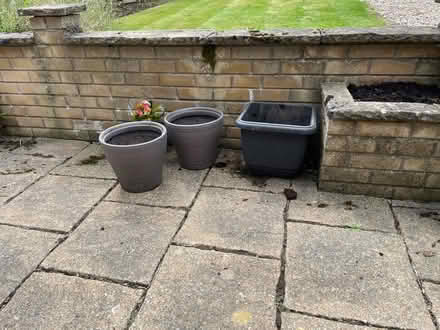 Photo of free Plant pots (Penrith CA11) #1