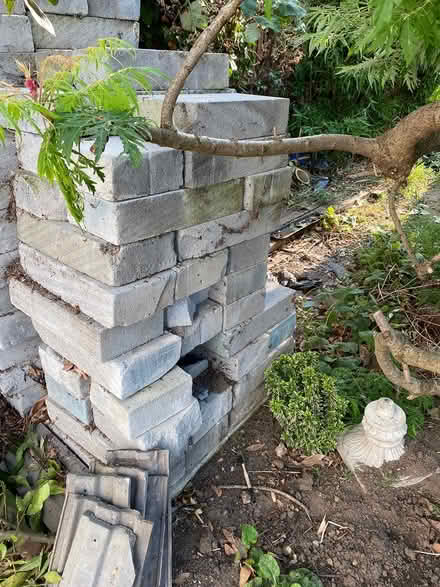 Photo of free Breeze blocks (Teddington TW11) #1