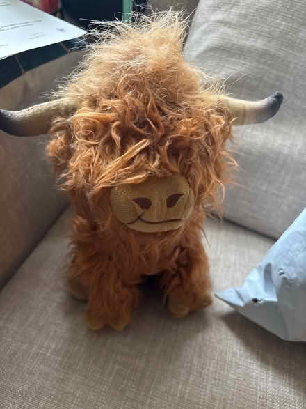 Photo of free Highland cow shaggy soft toy (Limehouse E1) #1