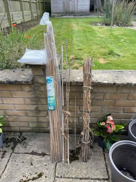 Photo of free Bamboo canes (Penrith CA11) #1