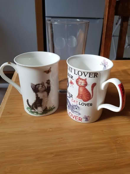 Photo of free Beer glasses and cat mugs (Sheffield 2) #1