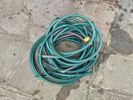 Photo of free 100ft garden hose & 40ft curly hose (Welling DA16) #2