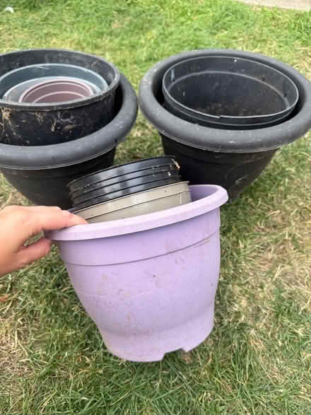 Photo of free Plant pot assortment (Harold Hill RM3) #1