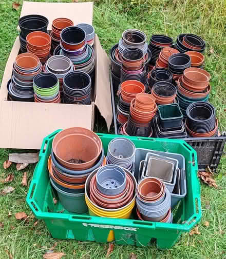 Photo of free Plant pots, various sizes (Aldershot) #1