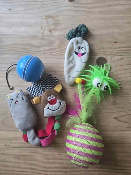 Photo of free Bundle of cat toys (Woodside, DY2) #1