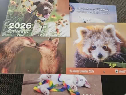 Photo of free Animal Wall Calendars 2025 & 2026 (San Jose) #1