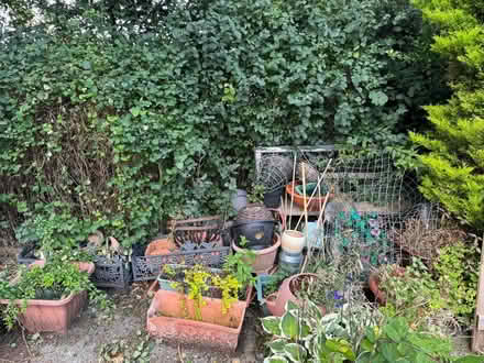 Photo of free Various garden pots (Penrith CA11) #1