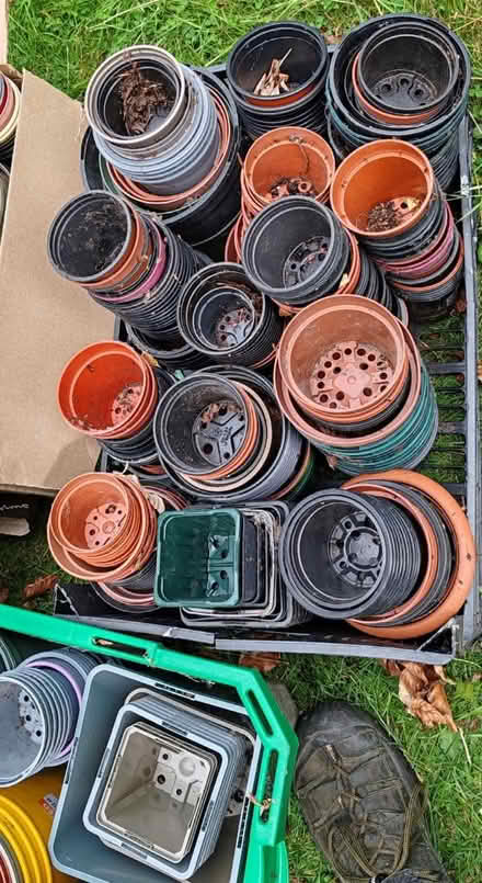 Photo of free Plant pots, various sizes (Aldershot) #3