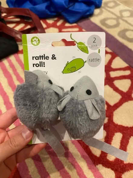 Photo of free Cat toy (Badger Farm) #1