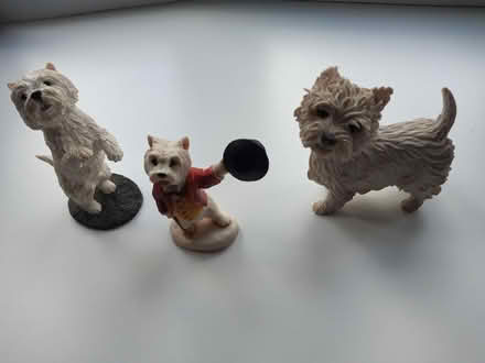 Photo of free Westie (West Highland white terrier) ornaments (Blakenall WS3) #1