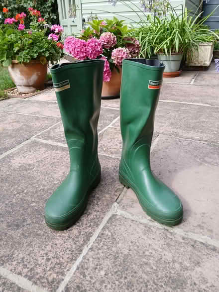 Photo of free Wellington boots (Great Baddow) #1