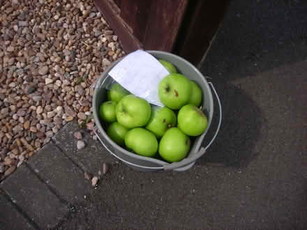 Photo of free Cooking apples (Whoberley CV4) #1