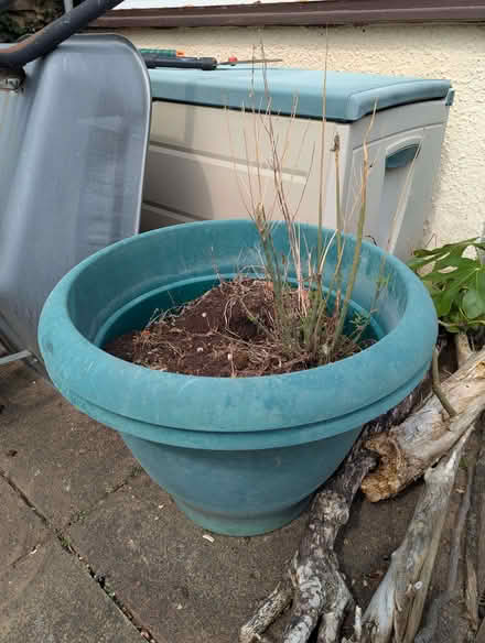 Photo of free Big plastic outdoor flower pots with soil (Potters Bar EN6) #3
