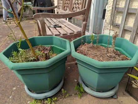 Photo of free Big plastic outdoor flower pots with soil (Potters Bar EN6) #1