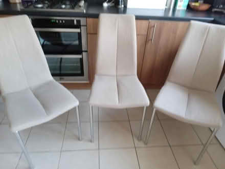Photo of free 4 dinning chairs (Benhilton SM1) #2