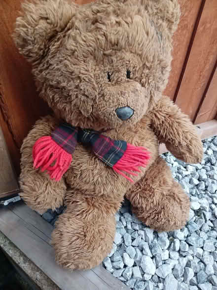 Photo of free Teddy bear (Harehills LS9) #1