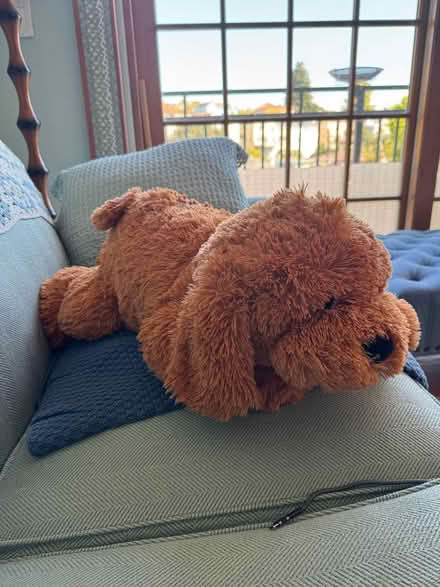 Photo of free Emotional Support Stuffed Animal (Lake Merritt) #1