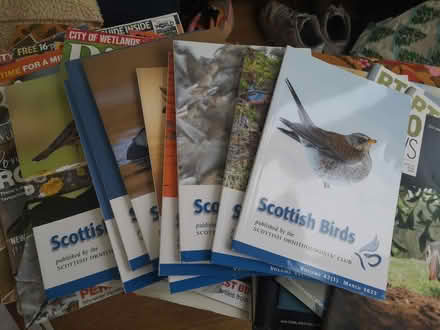 Photo of free Old bird magazines (Craiglockhart EH14) #3