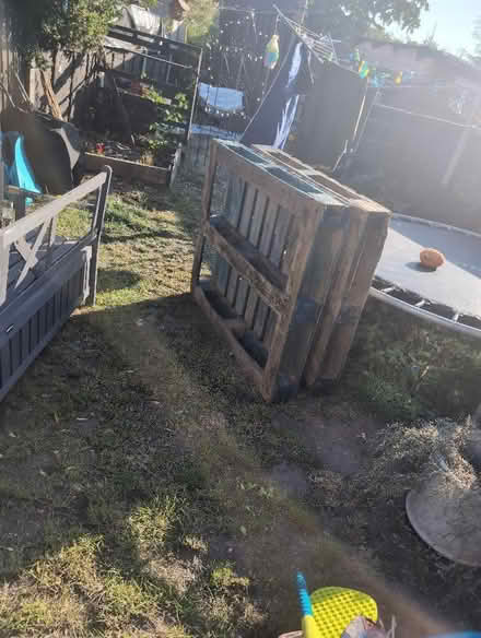 Photo of free Two pallets (Bromley North BR1) #1