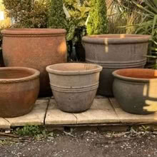 Photo of Big plant pots, tubs etc for patio plants (Macclesfield SK10) #1