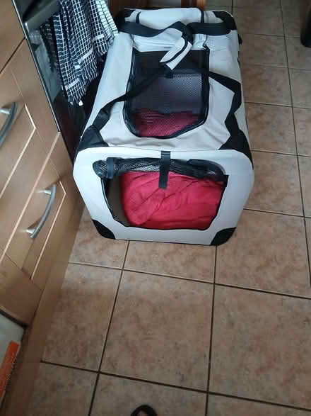 Photo of free Dog bed - carrier (Burradon cramlington NE23) #1