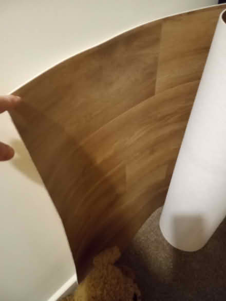 Photo of free Vinyl Flooring (Pipers Ash CH2) #1