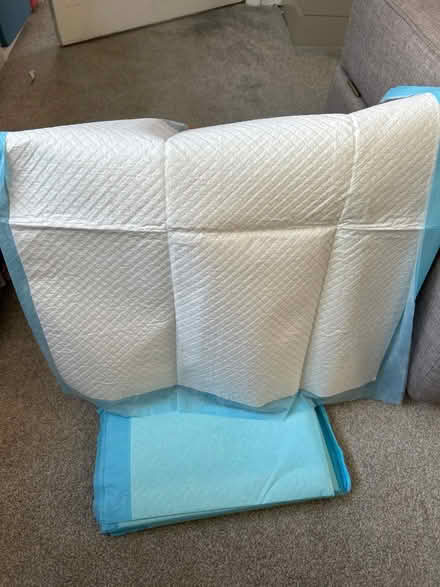 Photo of free Puppy training pads (Holmer Green) #1