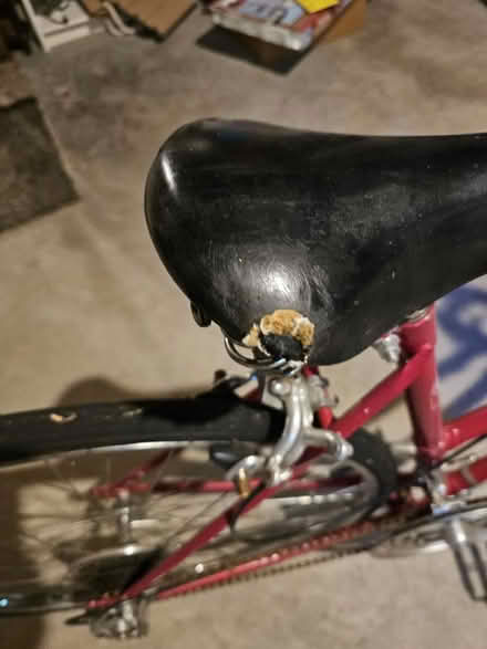Photo of free Schwhinn women's bike (Raritan Township/Ringoes) #3