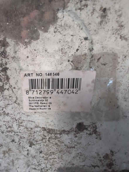 Photo of free Terrarium vase (CO2 Colchester) #2