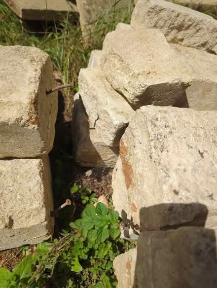 Photo of free C20 composite Cotswold stones mixed sizes (Bussage GL6) #2
