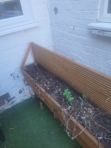 Photo of free Planter with soil (n182af N18) #2