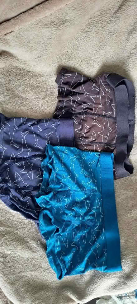 Photo of free 17 prs boys underpants approx age 6-8 (Churchgate EN8) #4