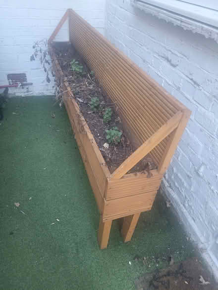 Photo of free Planter with soil (n182af N18) #3