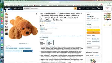 Photo of free Emotional Support Stuffed Animal (Lake Merritt) #2