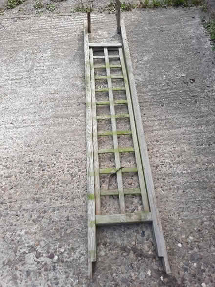 Photo of free Wooden arch for garden (Brimington S43) #2