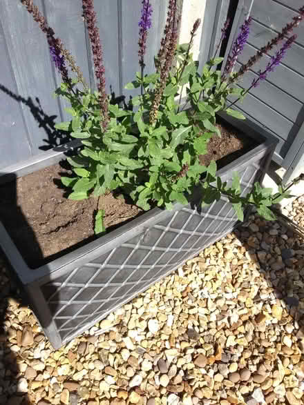 Photo of free Plastic Rectangular Long Large 70cm Lazio Trough (Heacham PE31) #3