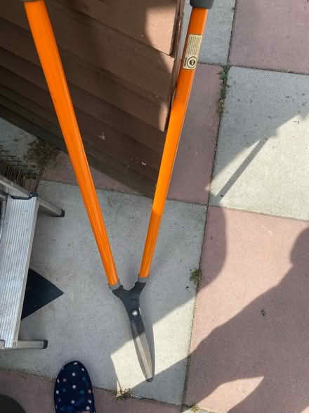 Photo of free Edging shears (Southborough TN4) #1