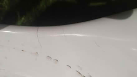 Photo of free Vintage tulip chairs for repair (Heaton Chapel SK4) #3