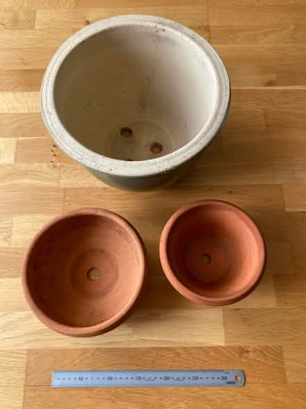 Photo of free plant Pots (BN1) #1
