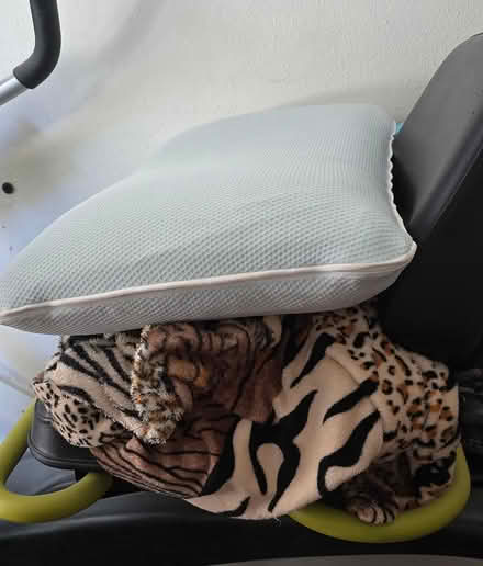 Photo of free Memory foam pillow / large blanket (Lake city area) #1