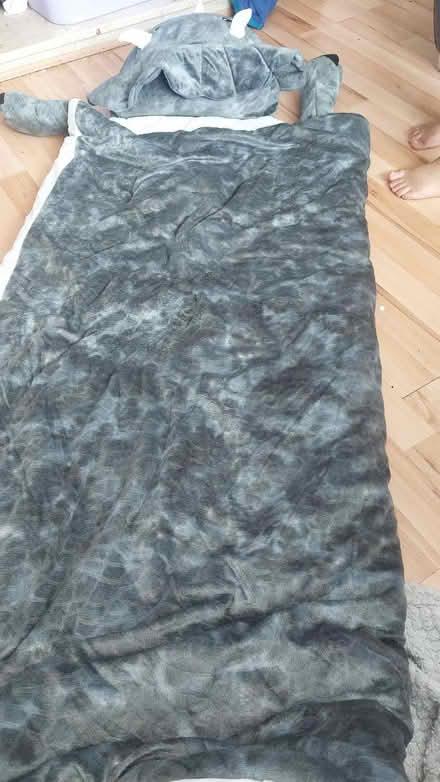 Photo of free Dinosaur sleeping bag (West bromwich) #2