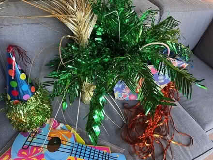 Photo of free party supplies (North side) #1