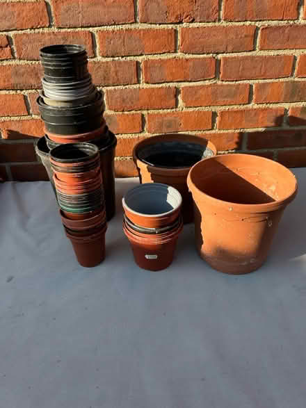 Photo of free Flower pots (Shoebury SS3) #1