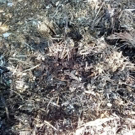 Photo of free A lot of Aged & Fine chipped Wood Mulch.. near Rt 118 & Rt 28 #3