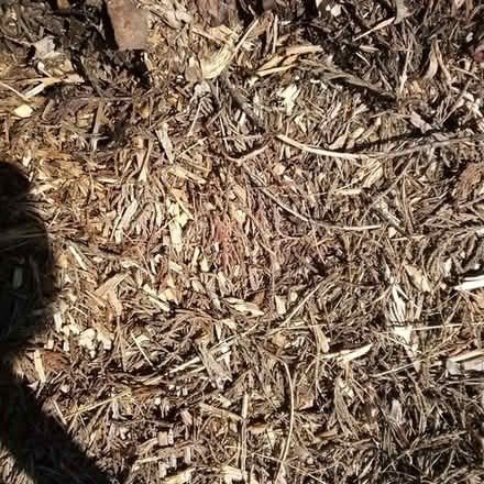 Photo of free A lot of Aged & Fine chipped Wood Mulch.. near Rt 118 & Rt 28 #2